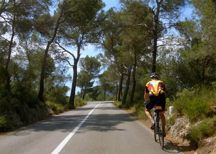 Lejlighed Angeles By Mallorca Infinity *