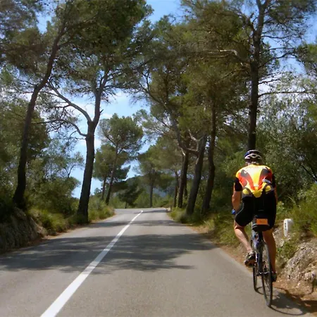 Apartamento Angeles By Mallorca Infinity *